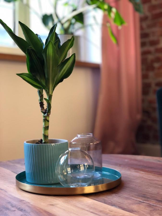 Apartament Stare Miasto Gdańsk Eksteriør billede